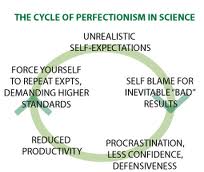 perfection cycle