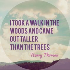 thoreau qoute